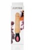 Wibrator-JUPITER-USB-12function,rotation vibrator